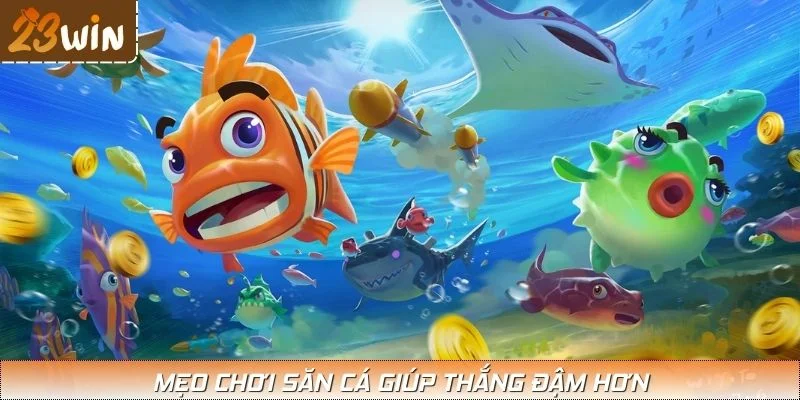 Mẹo chơi săn cá giúp thắng đậm hơn
