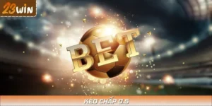 Kèo Chấp 0.5 - Bí Quyết Các Trận Cầu Nảy Lửa Tại 23WIN
