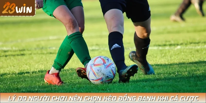 Kèo đồng banh được người chơi ưu tiên lựa chọn trong cá độ