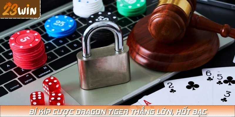 Bỏ túi bí kíp cá cược Rồng hổ thắng từ cao thủ